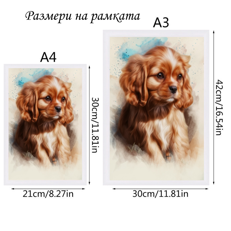 Портрет на домашен любимец